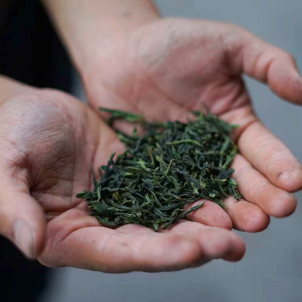 Lu'an Guapian Green Tea