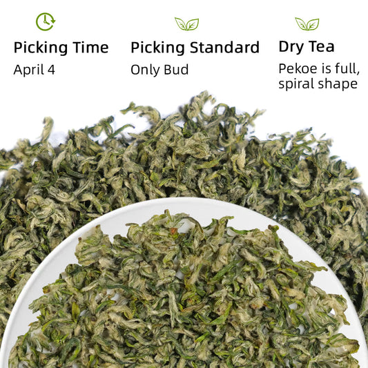 Biluochun Green Tea