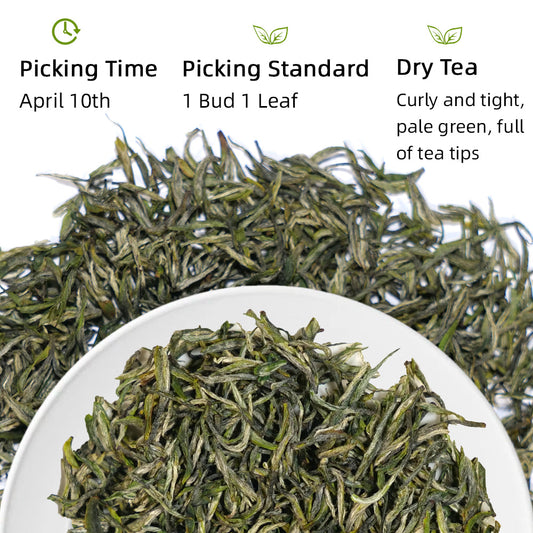 Xinyang Maojian Green Tea