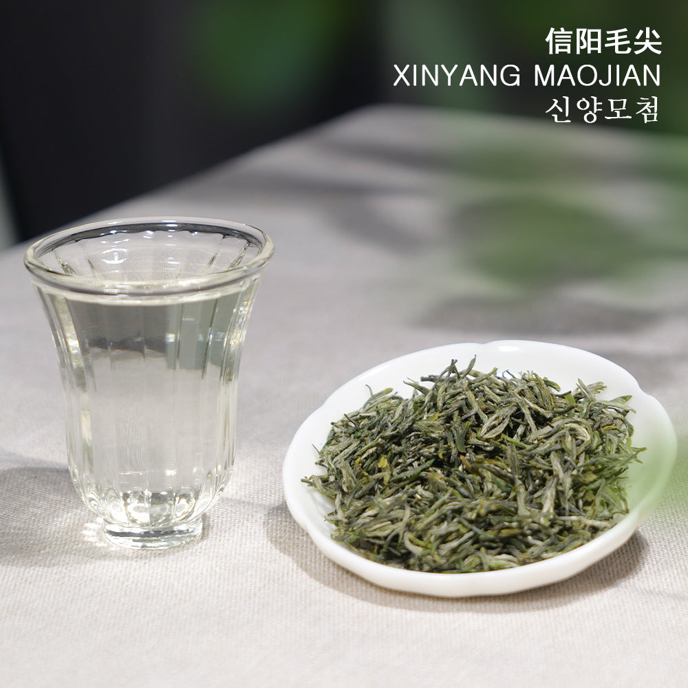 Xinyang Maojian Green Tea