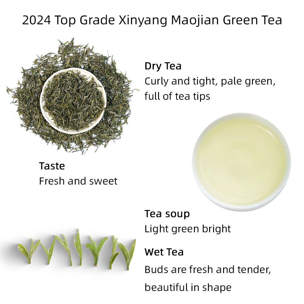 Xinyang Maojian Green Tea