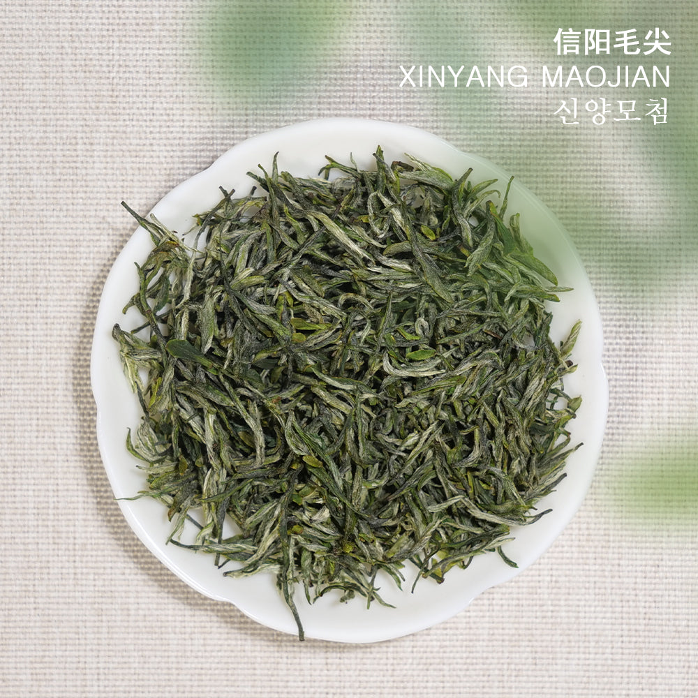 Xinyang Maojian Green Tea