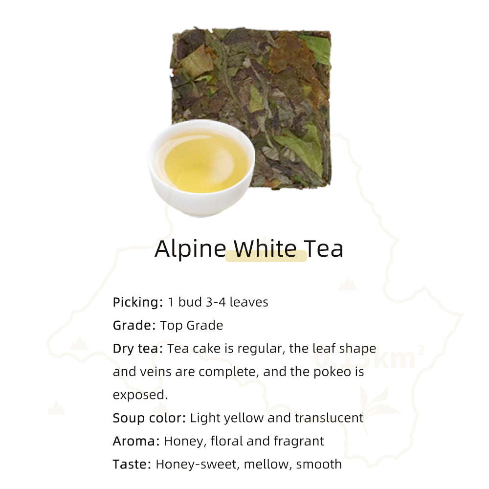 High Mountain White Tea K Cup (24 Pods) Tea Pods | Keurig Compatible