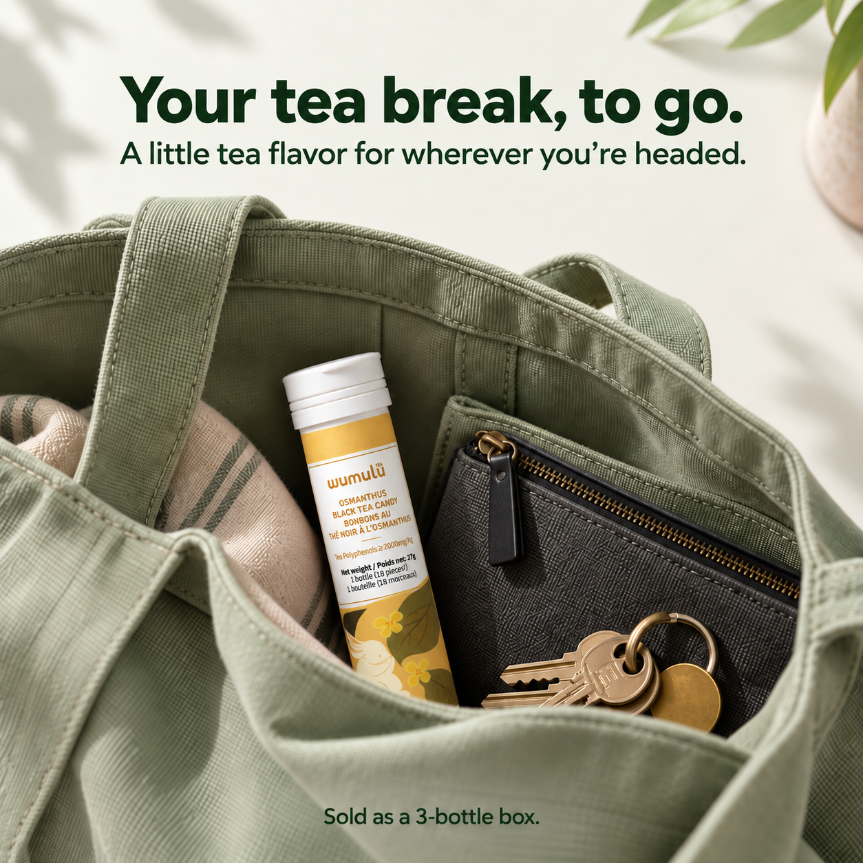 A bottle in your everyday bag